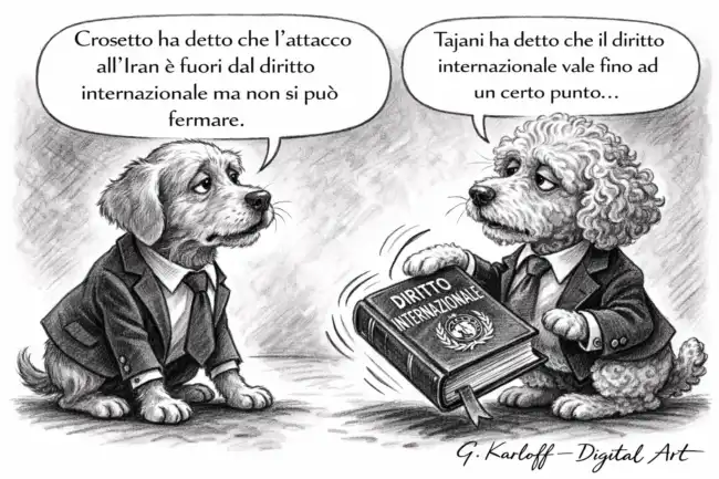 Mondo Cane: il diritto internazionale