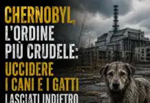 Chernobyl, l’ordine più crudele: uccidere i cani e i gatti lasciati indietro
