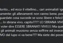 Tra pascoli e predatori: uscire dalla guerra ideologica tra uomo e natura