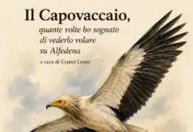 Il Capovaccaio, quante volte ho sognato di vederlo volare su Alfedena