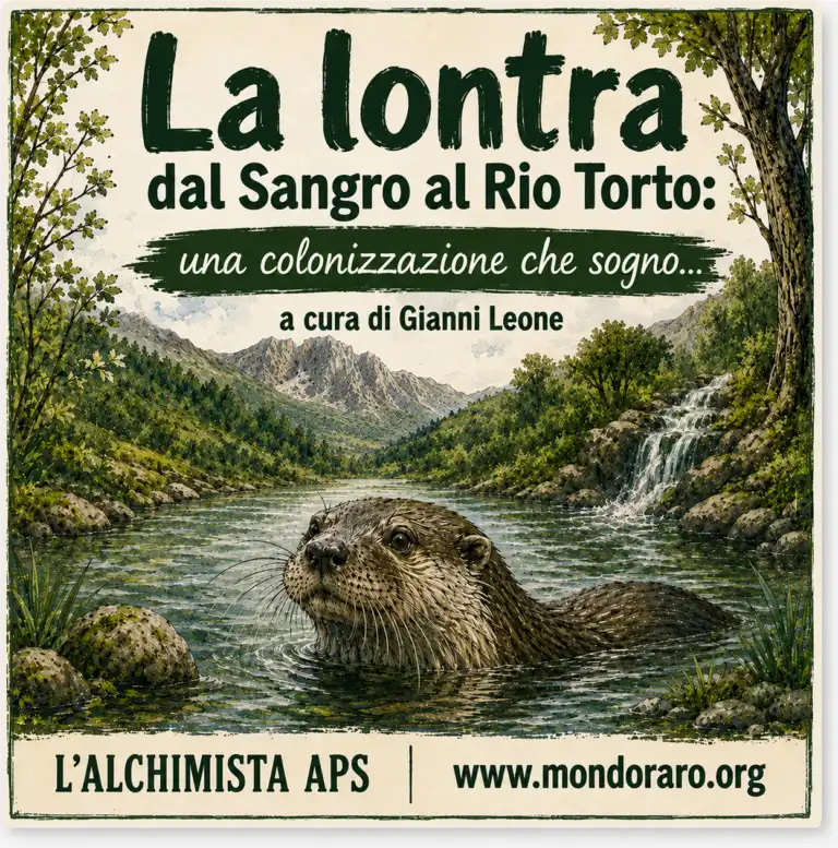 La lontra dal Sangro al Rio Torto: una colonizzazione che sogno…