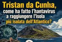 Tristan da Cunha, come ha fatto l’hantavirus a raggiungere l’isola più isolata dell’Atlantico?